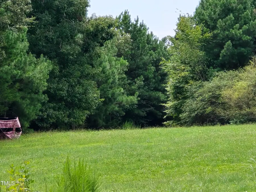 1894 Glovers Church Road, Bennett, NC 27208 - Image #2