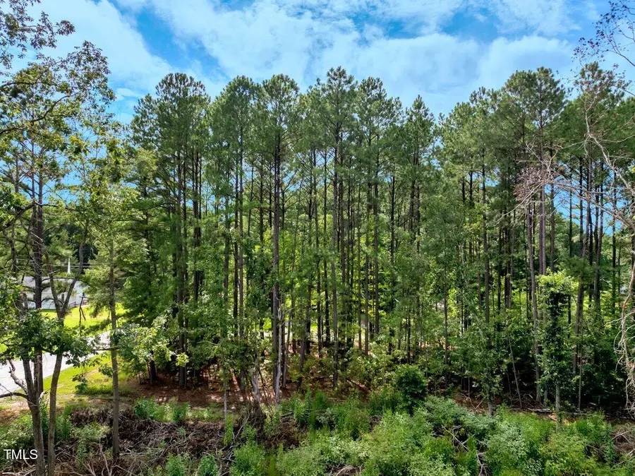 0 Oak Street, Littleton, NC 27850 - Image #3