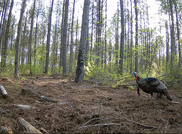 0 Richardson Road, Warrenton, NC 27589