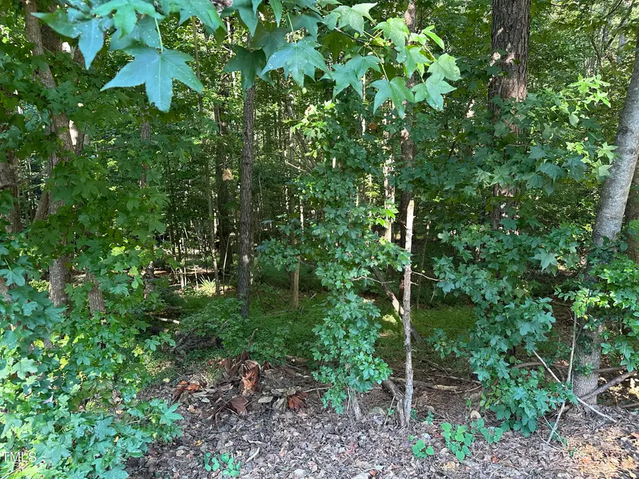 10348 Nash, Governors Club, NC 27517 - Image #2