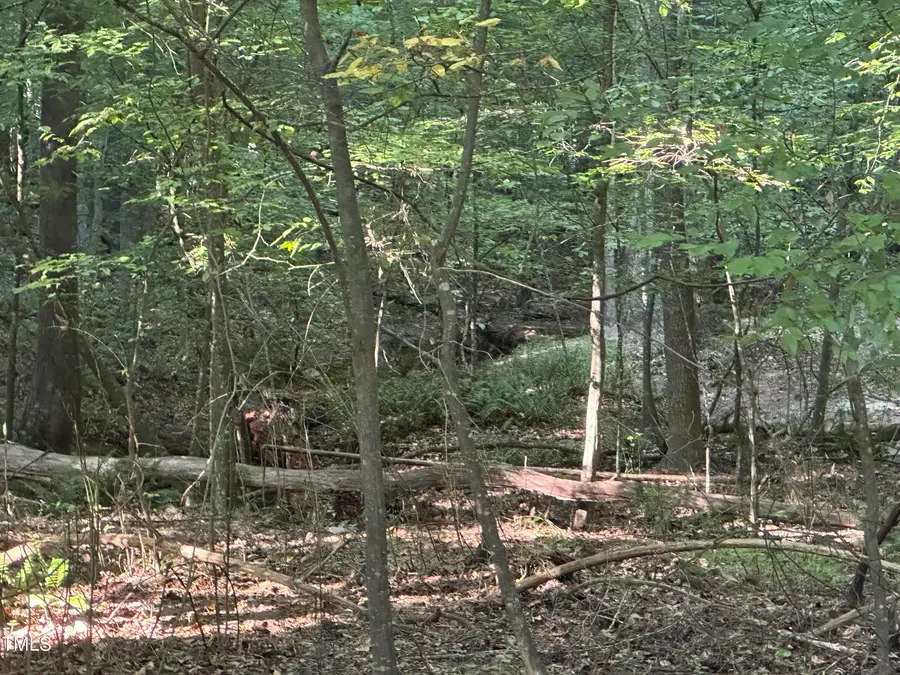 10348 Nash, Governors Club, NC 27517 - Image #3