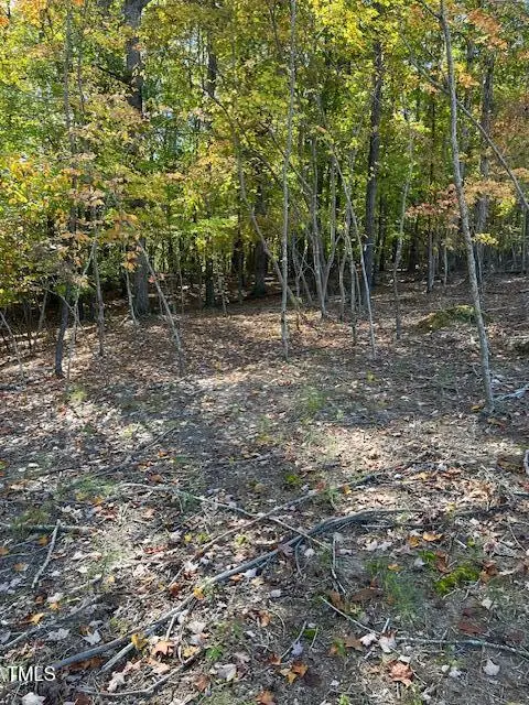 234 Hillcrest Lane, Clayton, NC 27520 - Image #2