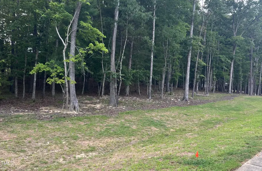 125 Rhododendron Drive, Durham, NC 27712 - Image #3