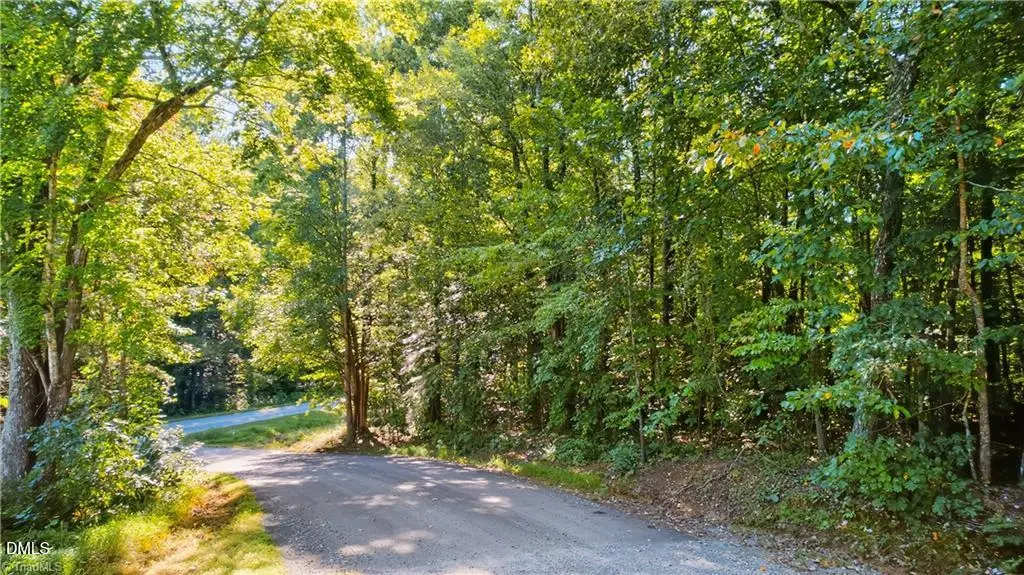 0 Bethel South Fork Road, Graham, NC 27253 - Image #1