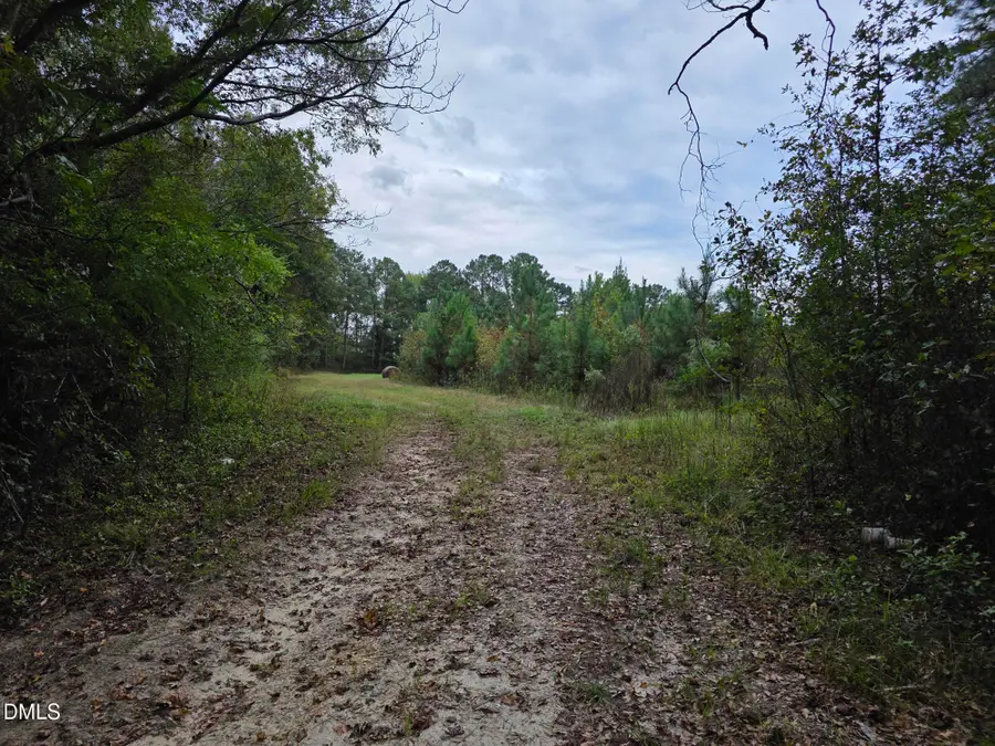 0 Camelia Road, Benson, NC 27504 - Image #3