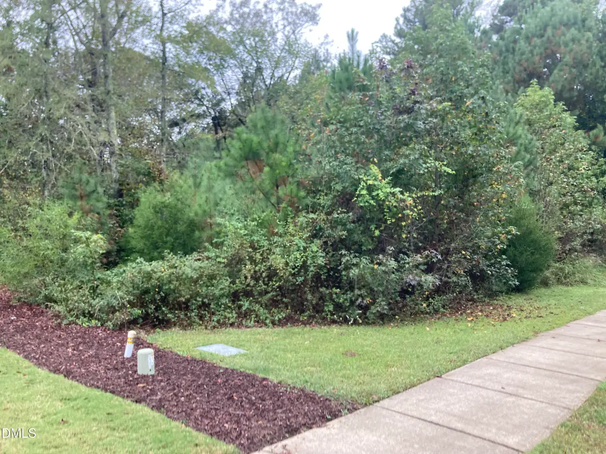 217 Cabin Creek, Pittsboro, NC 27312 - Image #1