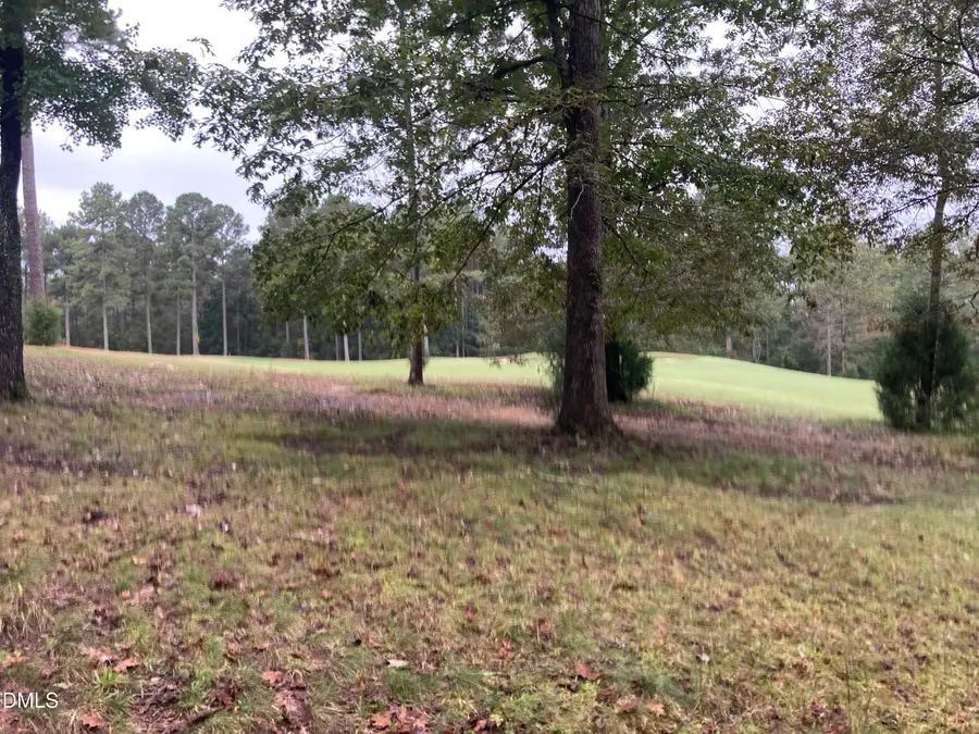 217 Cabin Creek, Pittsboro, NC 27312 - Image #2