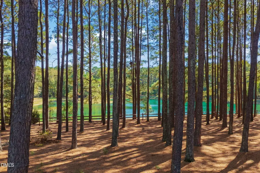 1028 White Fir Drive, Wake Forest, NC 27587 - Image #3