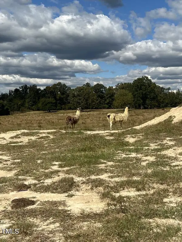 1925 Bunnlevel Erwin Road, Bunnlevel, NC 28323