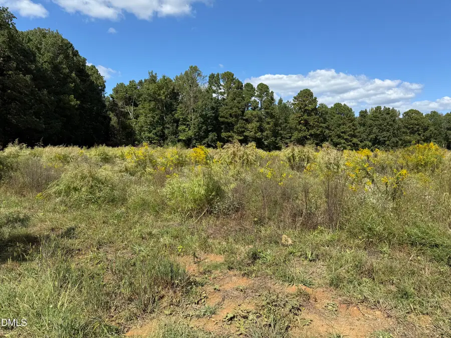 3718 Hinton Mill Court, Franklinton, NC 27525 - Image #2