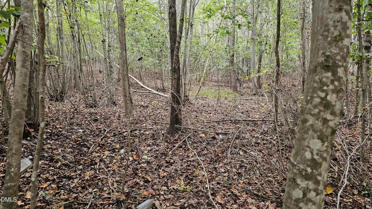 0 Gilliland Street, Warrenton, NC 27589 - Image #1