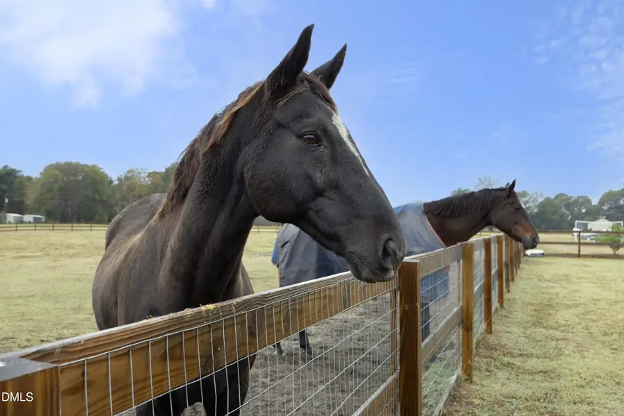 128 Conover Road, La Grange, NC 28551 - Image #2