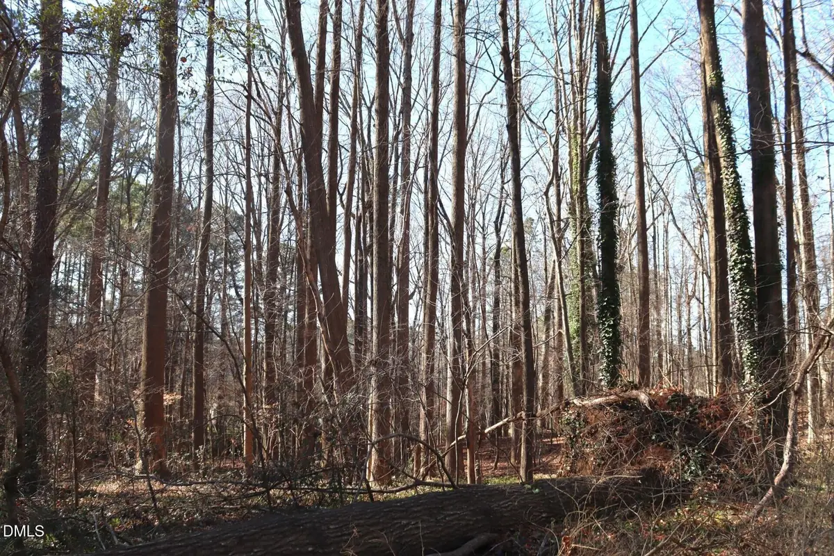 106 Frank Road, Cary, NC 27518 - Image #1