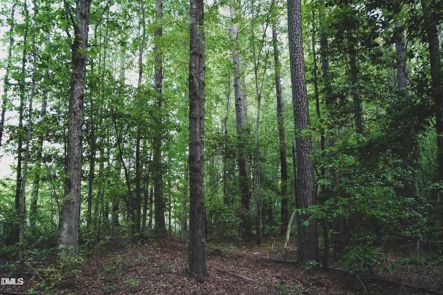 Lot 3 Arthur Wilder Road, Spring Hope, NC 27882 - Image #3