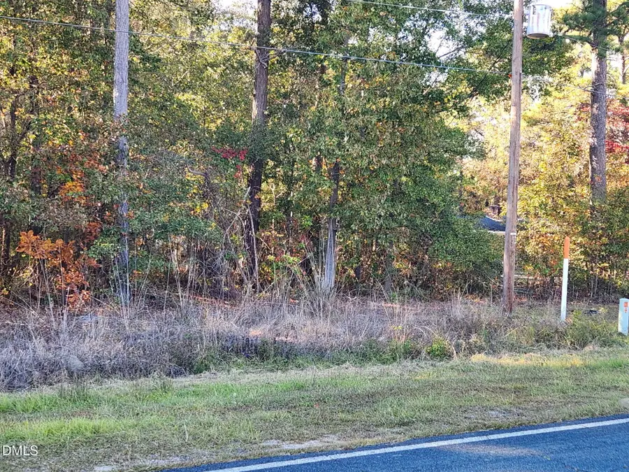 0 Cedar Grove Church Road, Saint Pauls, NC 28384 - #3