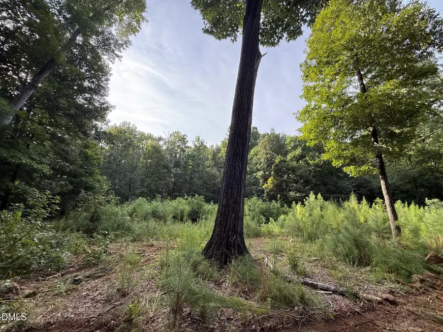 2641 Orange Grove Rd Road, Hillsborough, NC 27278 - Image #3