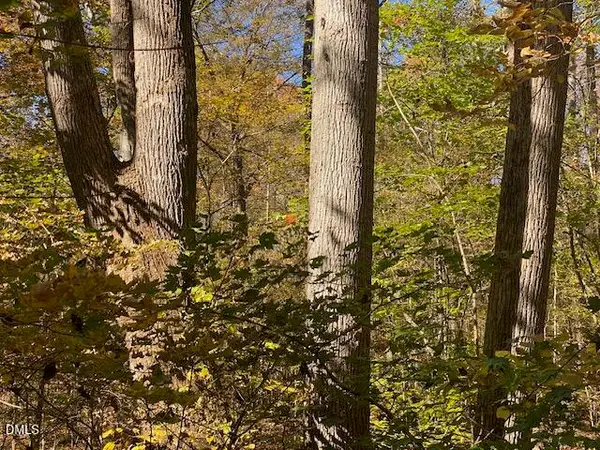 Lot 6 Sepelo Way, Efland, NC 27243