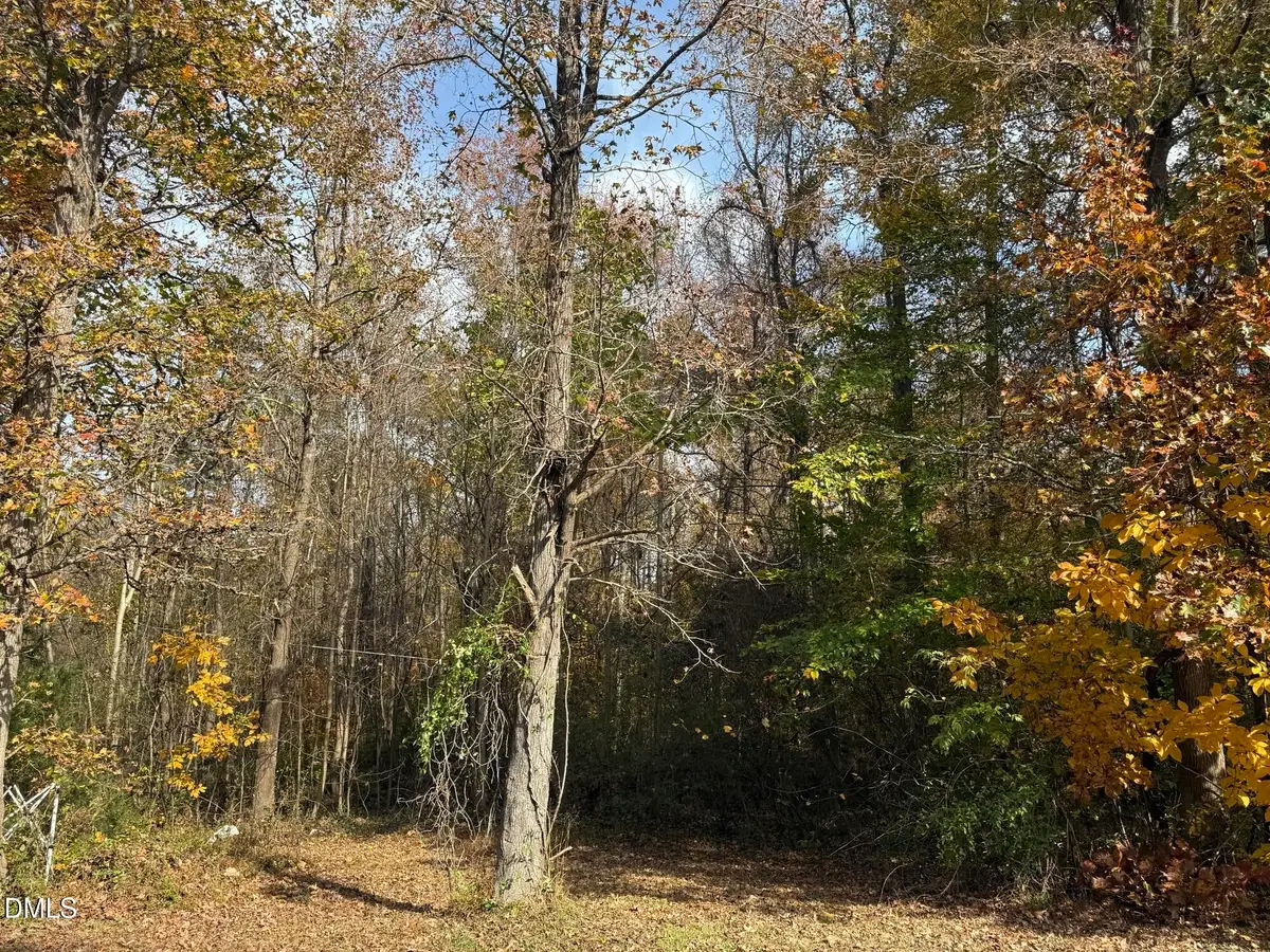 326 Gaines Chapel Road, Efland, NC 27243 - #1