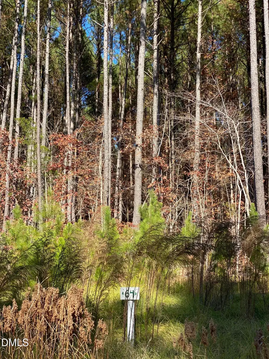 586 Anneliis Lane, Siler City, NC 27344 - Image #2