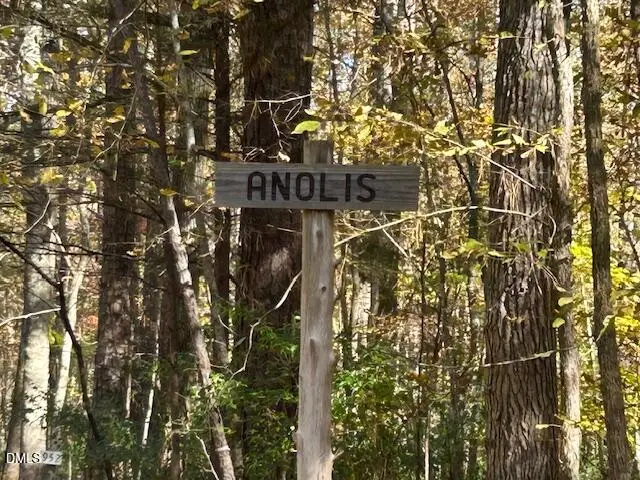 210 Anolis Lane, Pittsboro, NC 27312 - Image #2