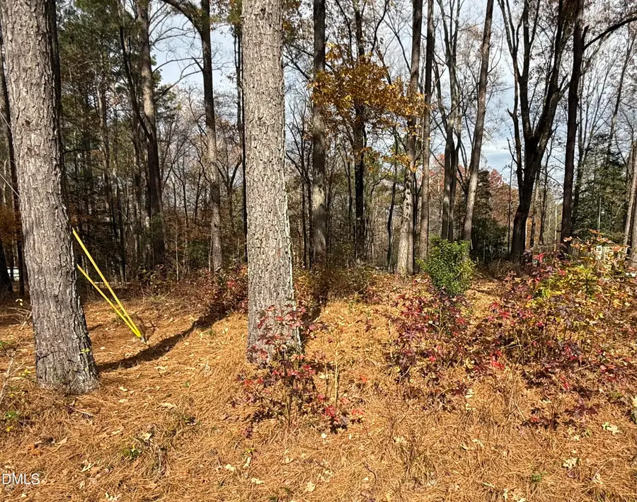 131 Catoose Drive, Louisburg, NC 27549 - Image #3