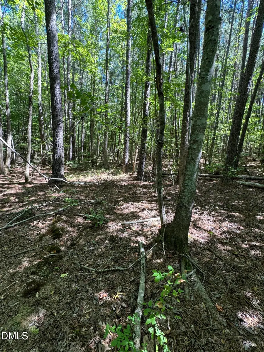 1820 Efland - Cedar Grove Road, Efland, NC 27243 - Image #2