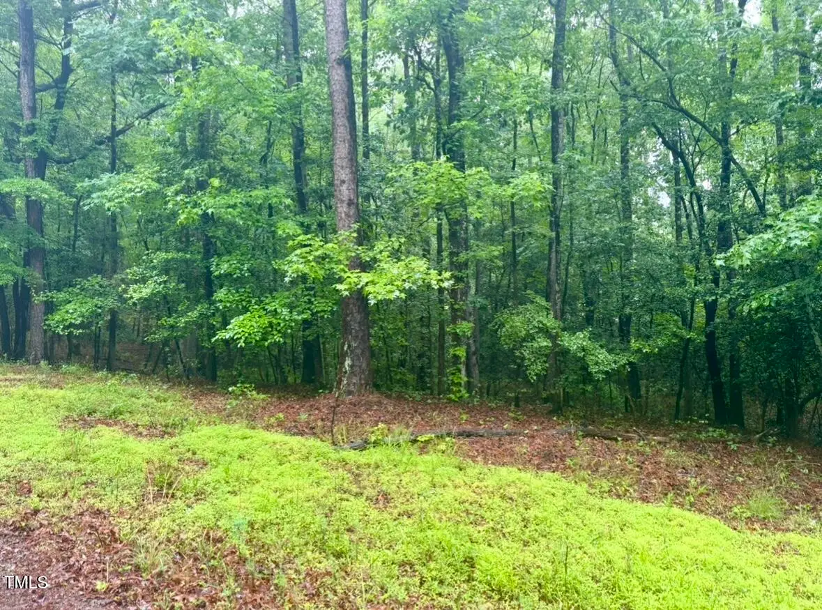 0 Chartres Street, Fuquay Varina, NC 27526 - Image #1