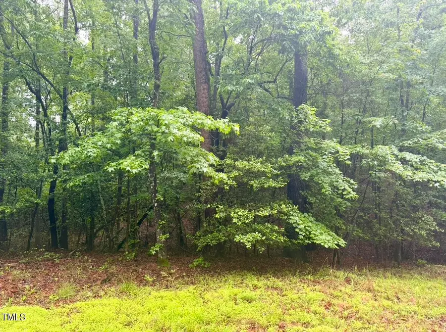 0 Chartres Street, Fuquay Varina, NC 27526 - Image #2