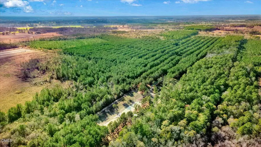 2310 Devils Racetrack Road, Four Oaks, NC 27524 - Image #3