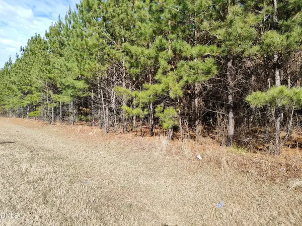 Lot 6 Windblow Road, Jackson Springs, NC 27281