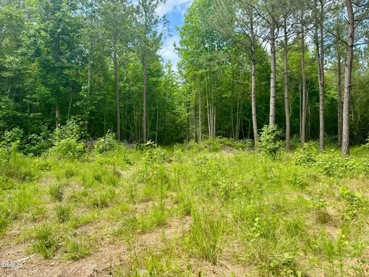 Tract 1 Frazier Road, Spring Hope, NC 27882 - Image #1