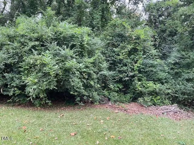 206 Hillsborough Road, Carrboro, NC 27510 - Image #3