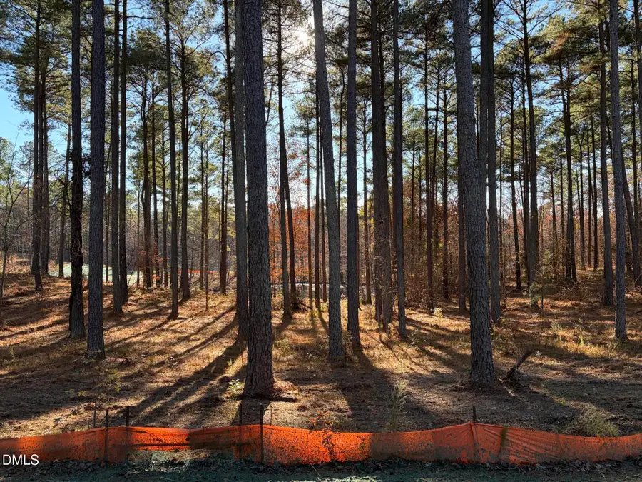 6713 Bartley Point Drive, New Hill, NC 27562 - #2