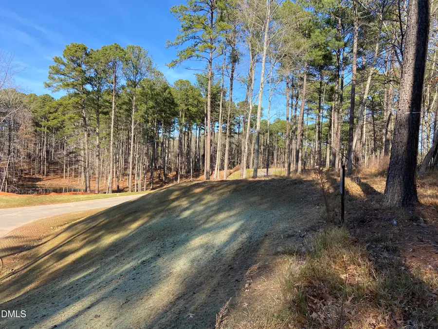 9113 Moon Lake Lane, New Hill, NC 27562 - #3