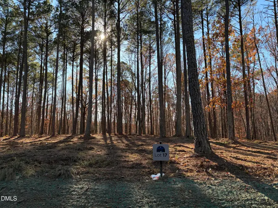 6729 Bartley Point Drive, New Hill, NC 27562 - #2