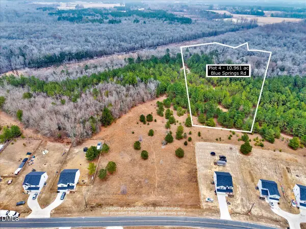 Lot 4 Blue Springs Road, Red Springs, NC 28377