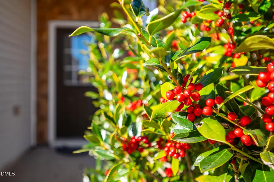 3548 Althorp Drive, Raleigh, NC 27616 - Image #2