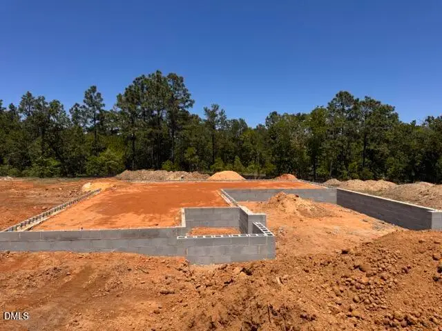 95 Colorado Court, Spring Lake, NC 28390 - #2