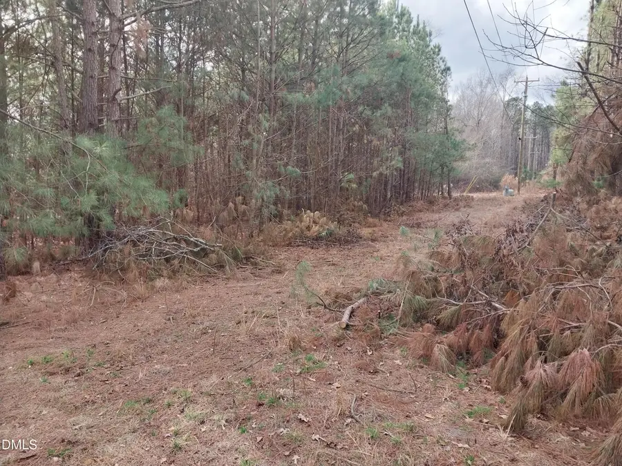 6741 Wimberly Road, Willow Spring, NC 27592 - Image #3