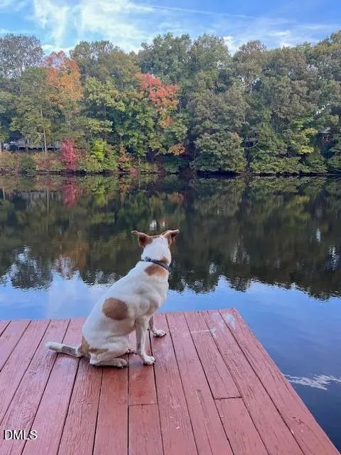 901 Bridge Way, Raleigh, NC 27615 - Image #2