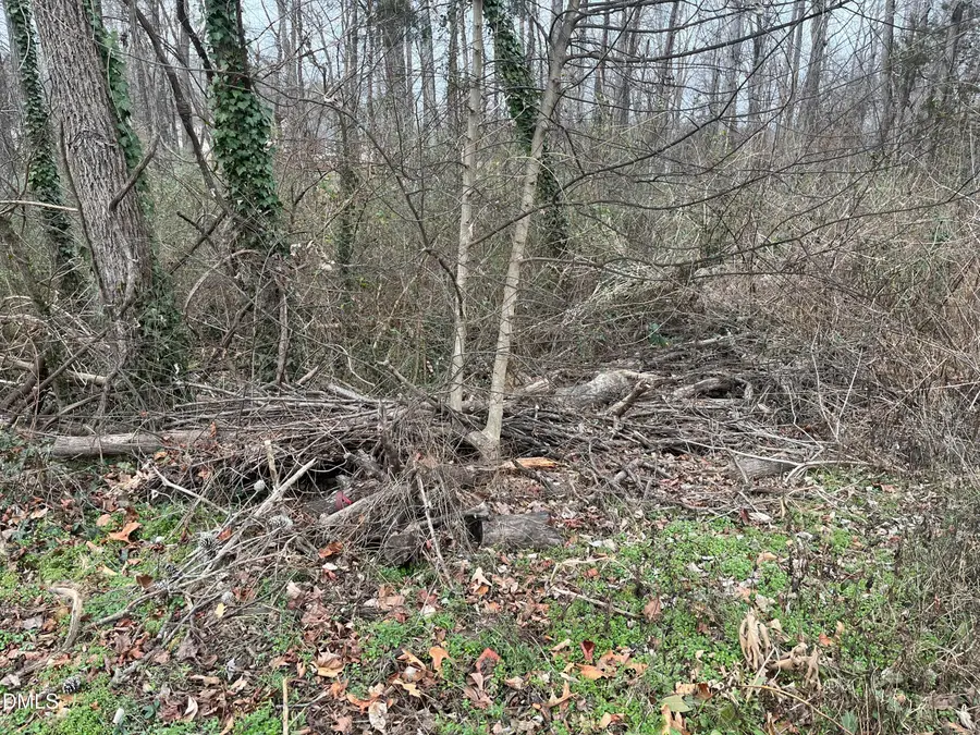 1004 Lashley Park Drive, Gibsonville, NC 27249 - Image #3