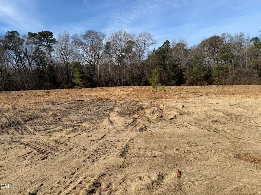 35 Woods Hill Lane Drive, Benson, NC 27504 - #3