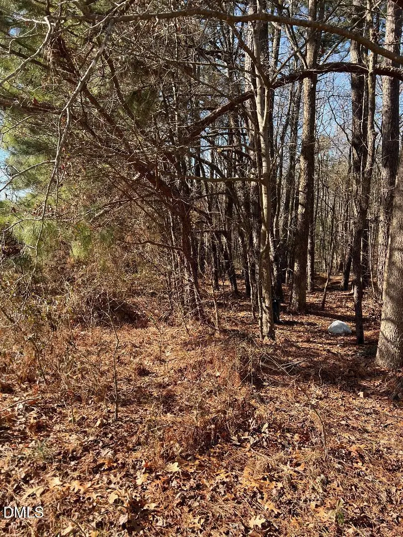 204 Fairhaven Street, Apex, NC 27539 - Image #1