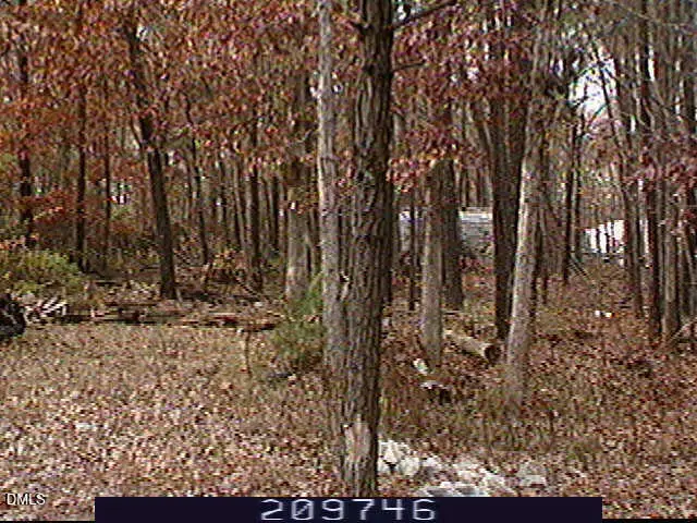 3920 Richardson Street, Holly Springs, NC 27540 - Image #2