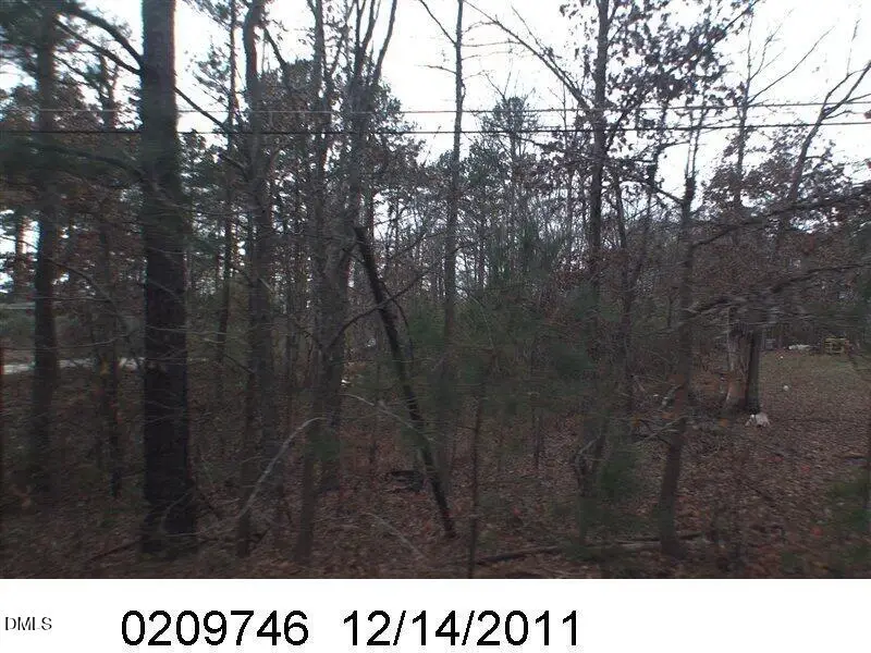 3920 Richardson Street, Holly Springs, NC 27540 - Image #3