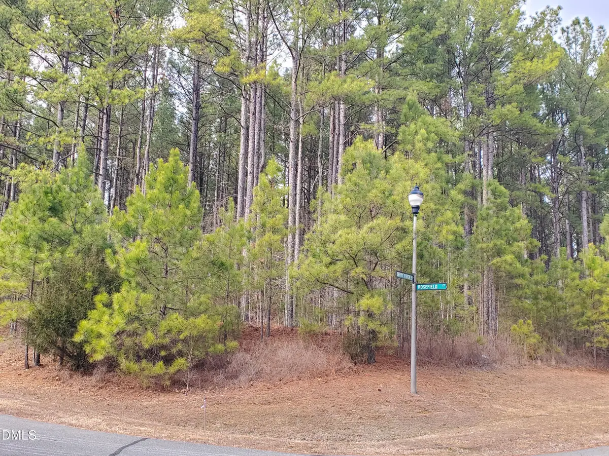 36 Rosefield Court, Pittsboro, NC 27312 - #1