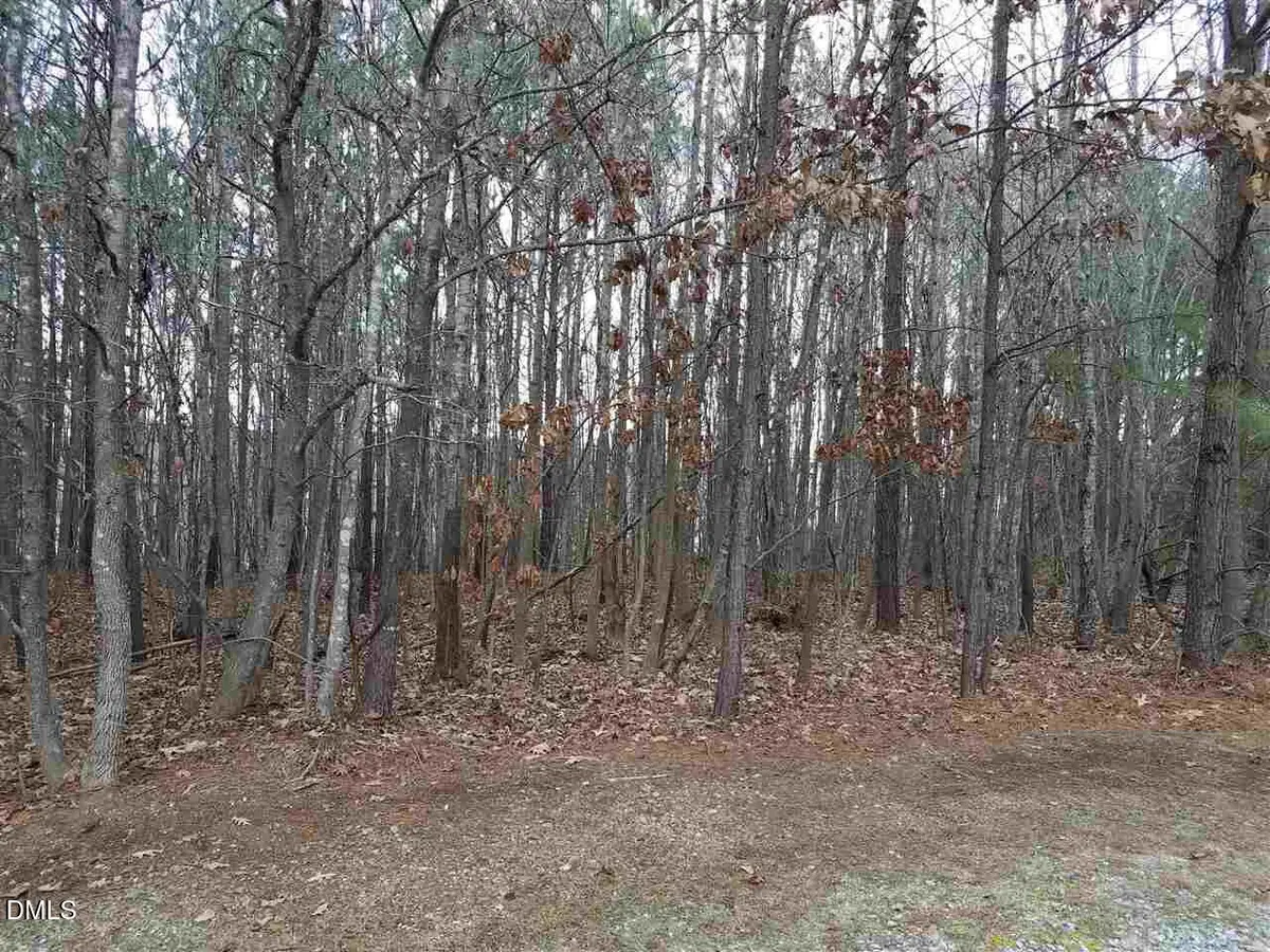 2908 Satori Way, Apex, NC 27539 - Image #1