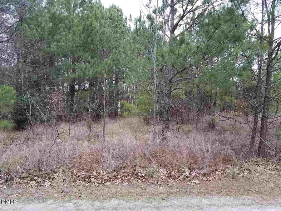 2908 Satori Way, Apex, NC 27539 - Image #3