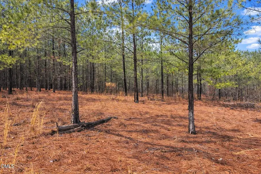 195 Appleton Way, Sanford, NC 27332 - #3