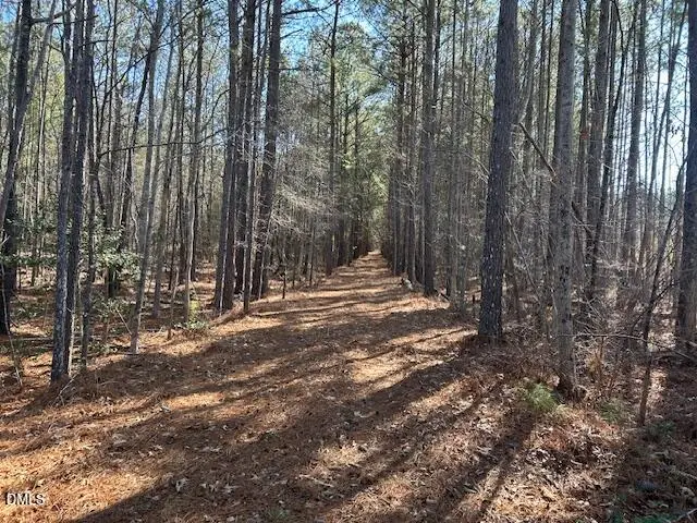 420 John Headen Road, Moncure, NC 27559 - #3